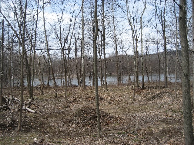 Image 72 of 153  -  165 kB
